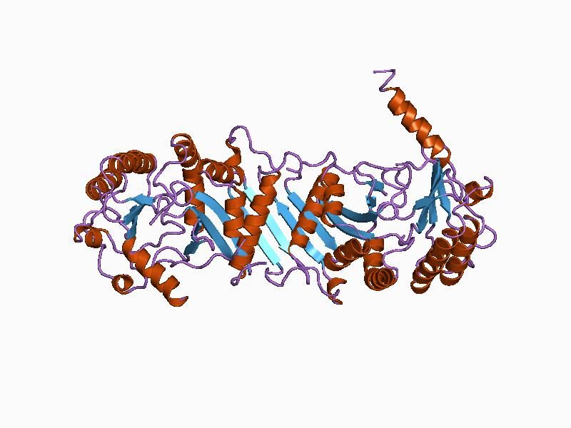 File:PDB 1bo1 EBI.jpg