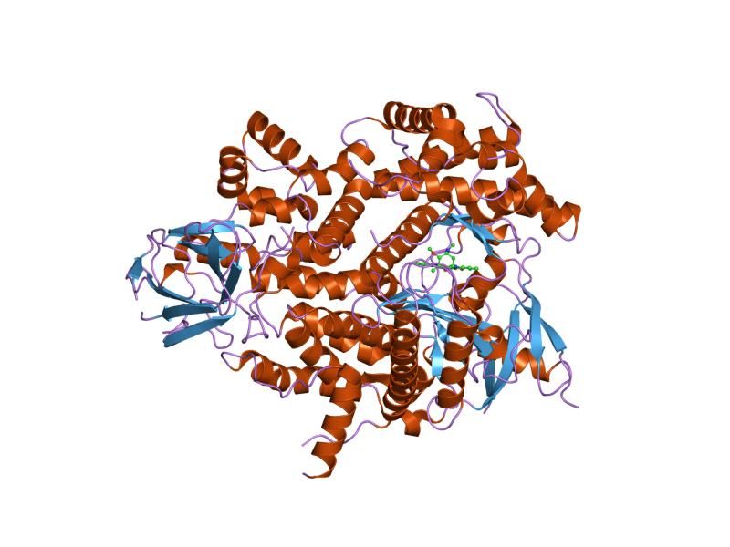 File:PDB 1e8z EBI.jpg