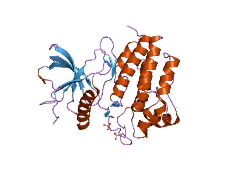 File:PDB 1gjo EBI.jpg