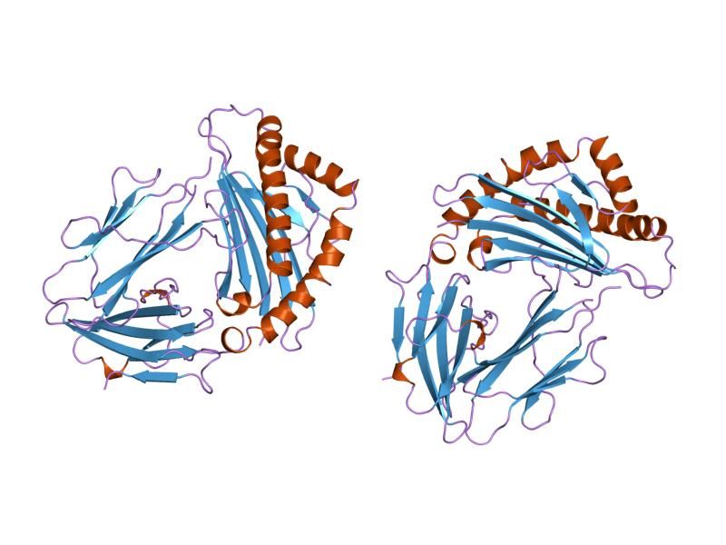 File:PDB 1i1y EBI.jpg