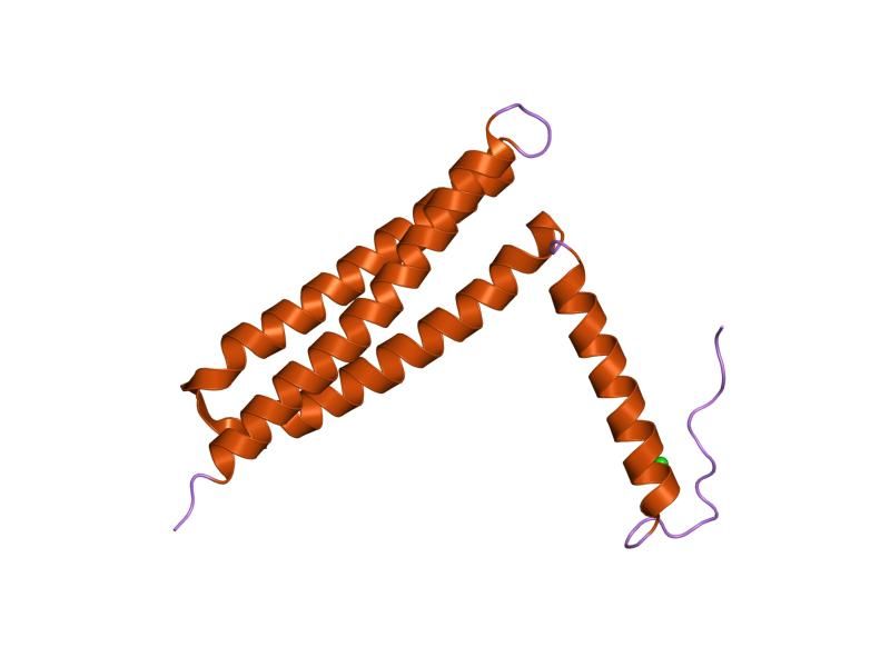 File:PDB 1k04 EBI.jpg