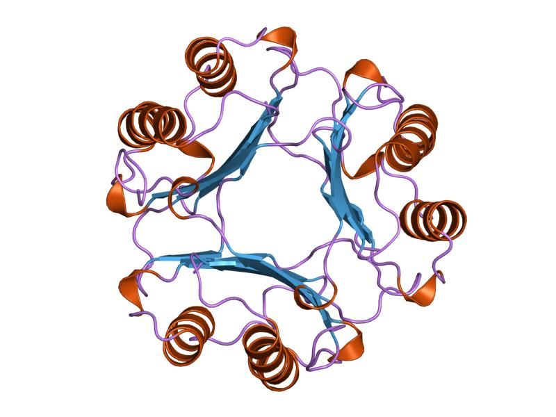 File:PDB 1mif EBI.jpg