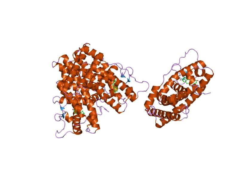 File:PDB 1qku EBI.jpg