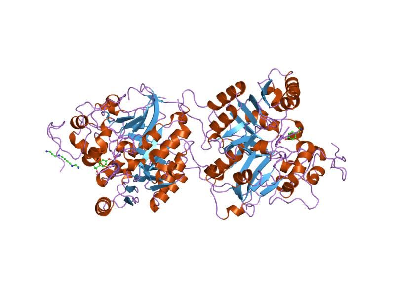 File:PDB 1rgu EBI.jpg