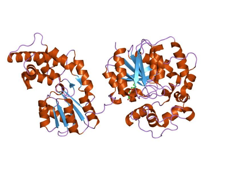 File:PDB 1s8o EBI.jpg