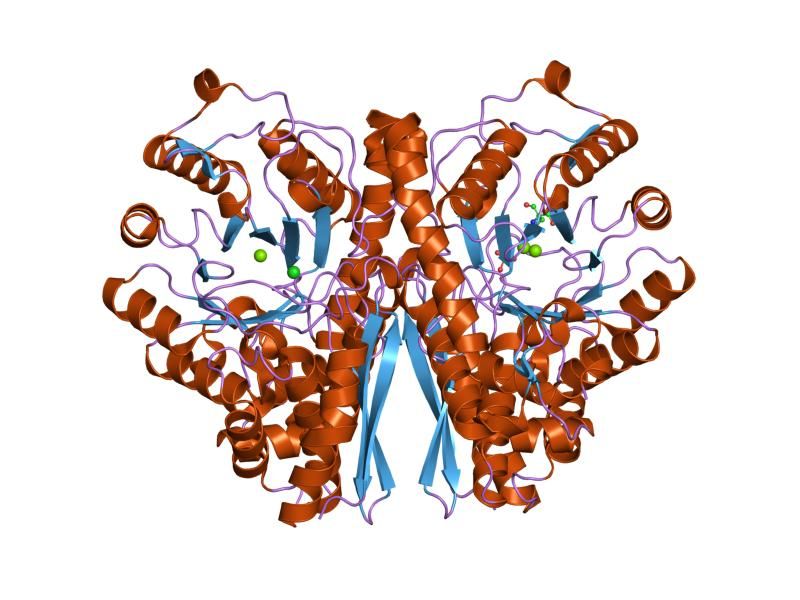 File:PDB 1te6 EBI.jpg