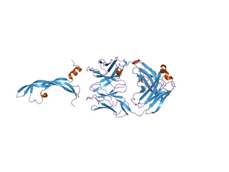 File:PDB 1tzi EBI.jpg