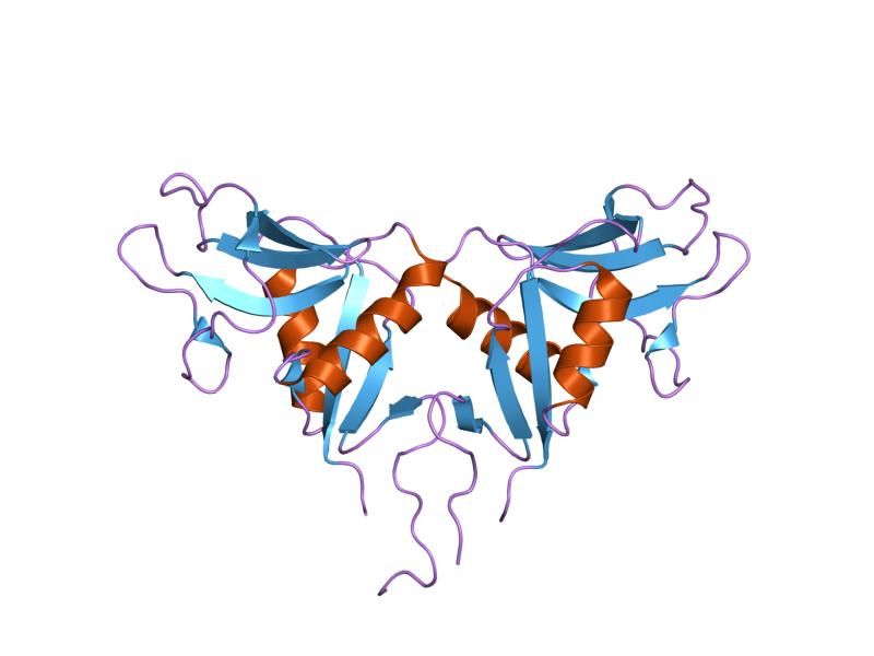 File:PDB 1ypu EBI.jpg