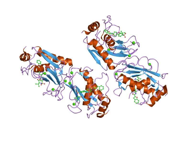 File:PDB 1ztq EBI.jpg