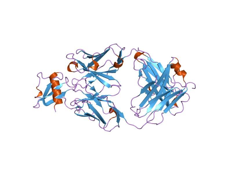 File:PDB 2bdn EBI.jpg