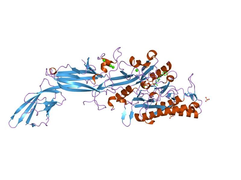 File:PDB 2dw5 EBI.jpg