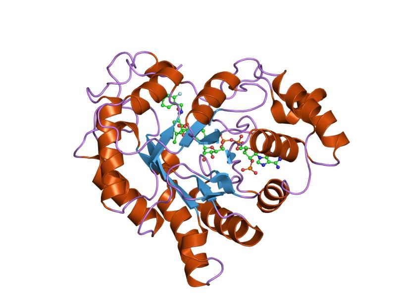 File:PDB 2iki EBI.jpg