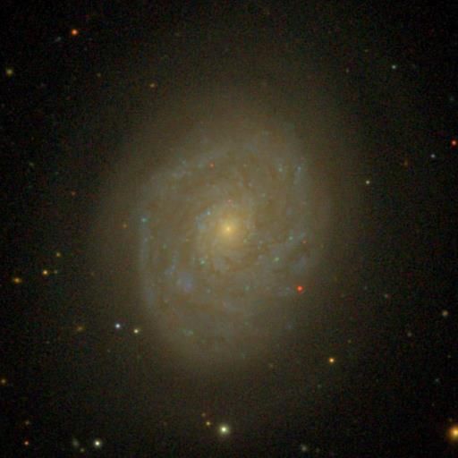 File:SDSS NGC 4689.jpg