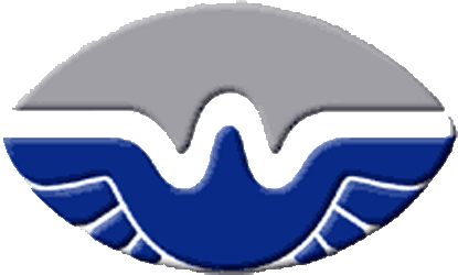 File:San Antonio Wings Logo.png