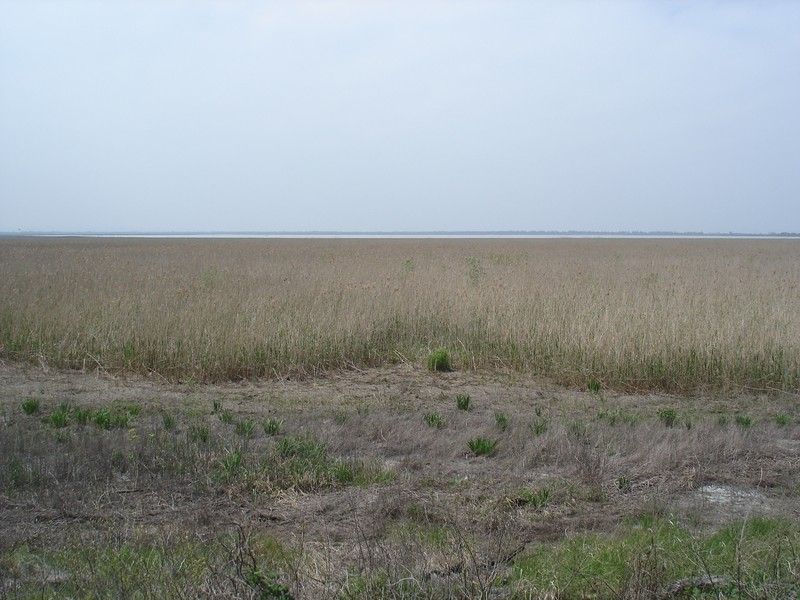 File:Shapsugskoye Reservoir, Druzhni, Adygea, Russia.jpg