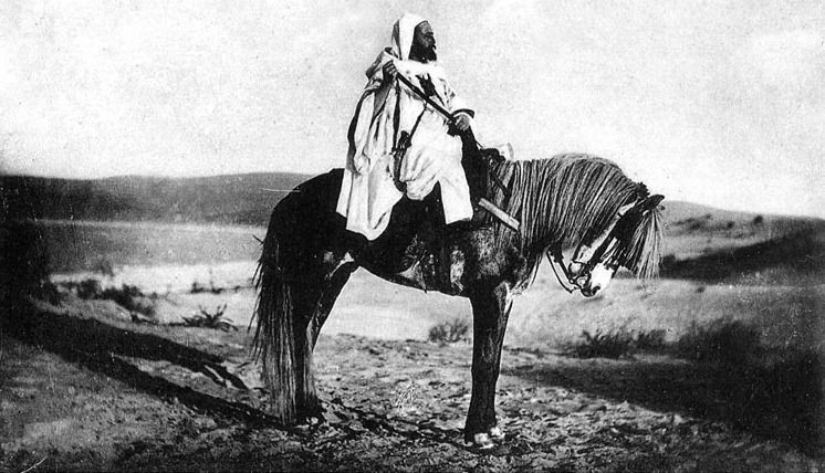 File:Un cavalier Marocain (cropped).jpg