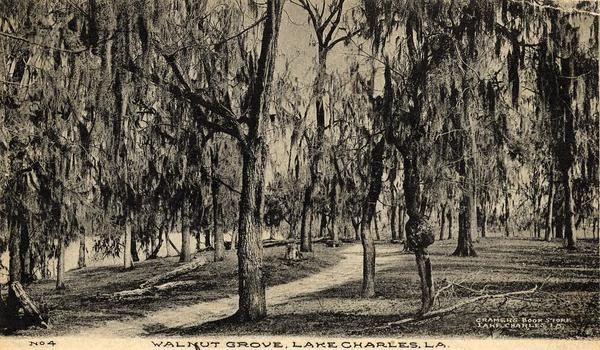 File:Walnut grove lake charles la postcard 1910.jpg