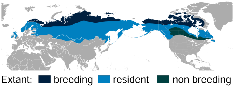 File:Willow Ptarmigan Lagopus lagopus distribution map.png