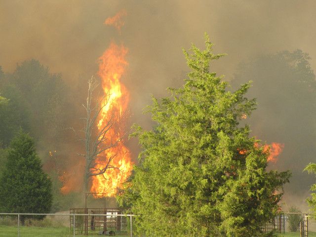 File:CrockettFire.jpg