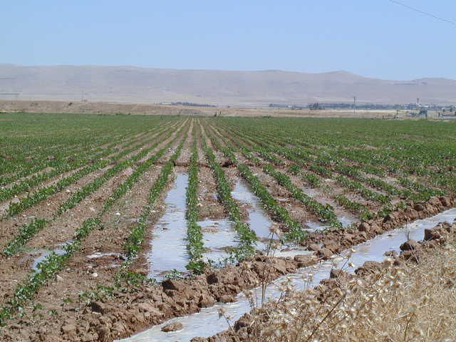 File:Furrow-GAP.jpg