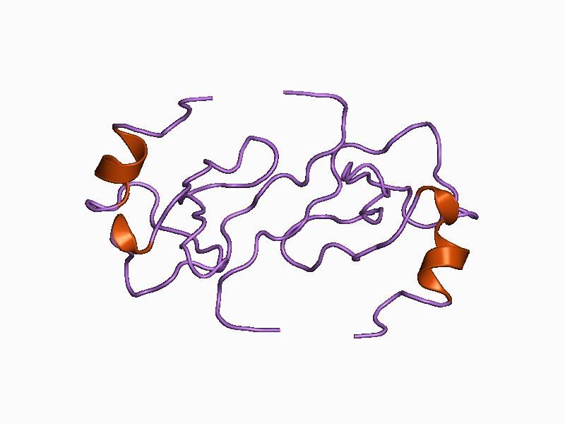 File:PDB 1b53 EBI.jpg