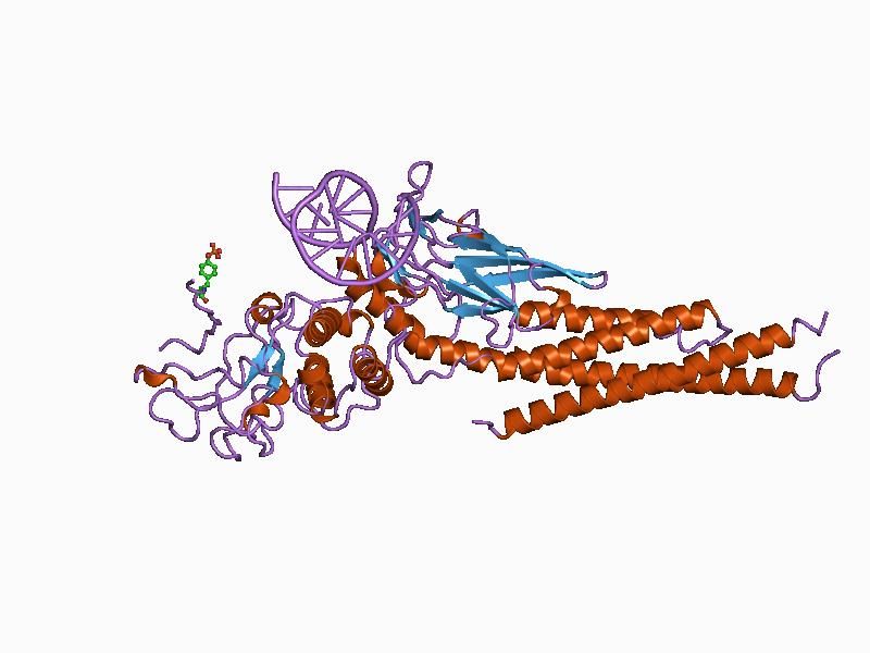 File:PDB 1bg1 EBI.jpg