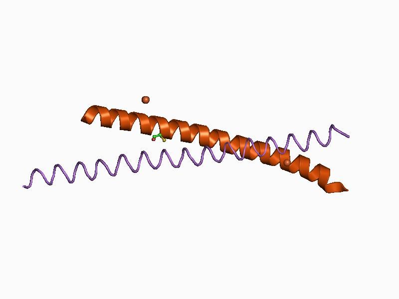 File:PDB 1ci6 EBI.jpg