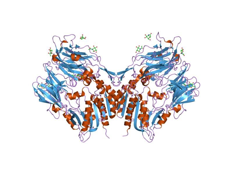 File:PDB 1j2e EBI.jpg