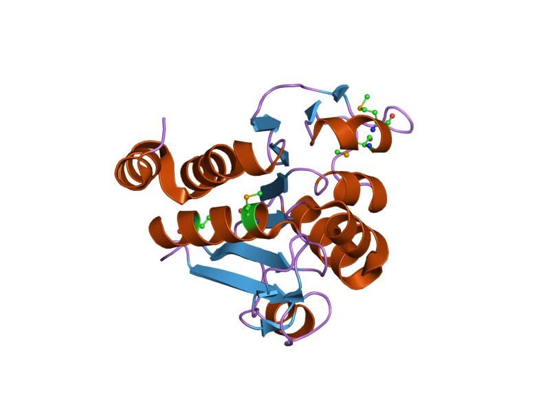 File:PDB 1pdv EBI.jpg