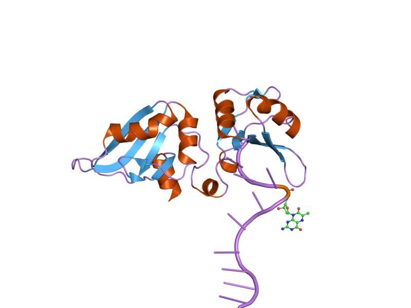 File:PDB 1po6 EBI.jpg