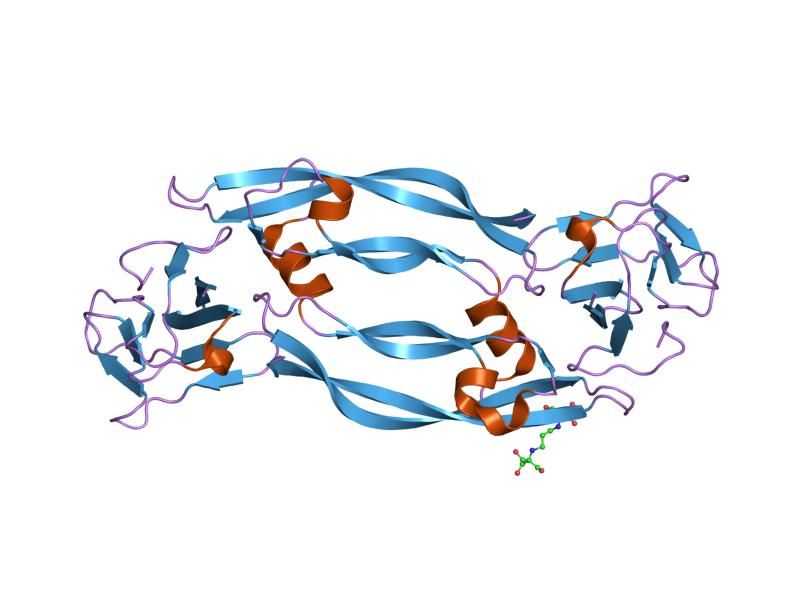 File:PDB 1rv6 EBI.jpg