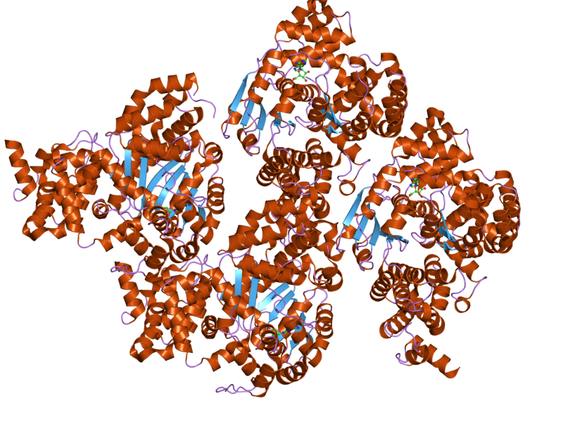 File:PDB 1z6t EBI.png