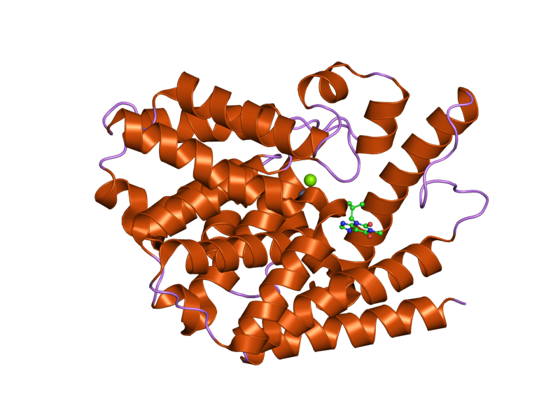 File:PDB 1zkl EBI.png