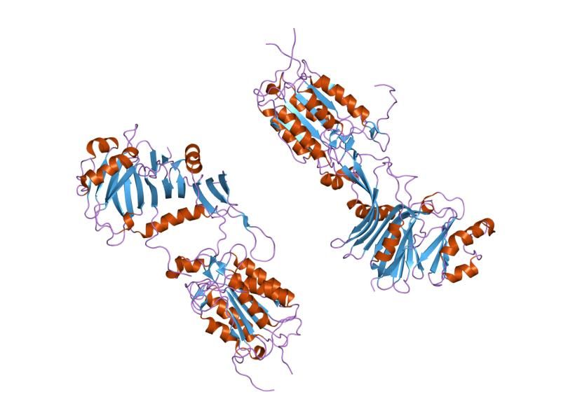 File:PDB 2fun EBI.jpg