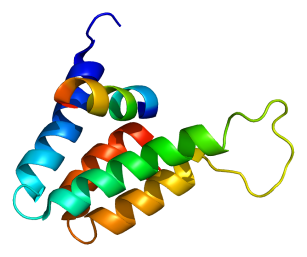 File:Protein SIN3B PDB 1e91.png