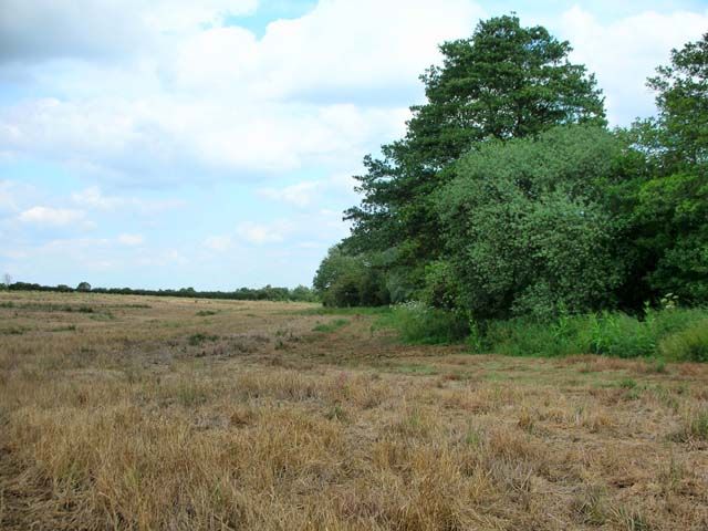 File:Set-Aside Farmland - geograph.org.uk - 191395.jpg