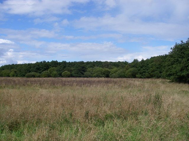 File:Cranberry Rough. - geograph.org.uk - 267022.jpg