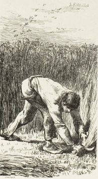 File:Labours of the fields-Reaper.jpg