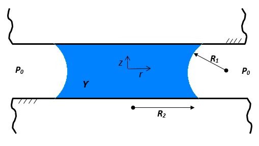 File:Liquid-mediated Adhesion.jpg