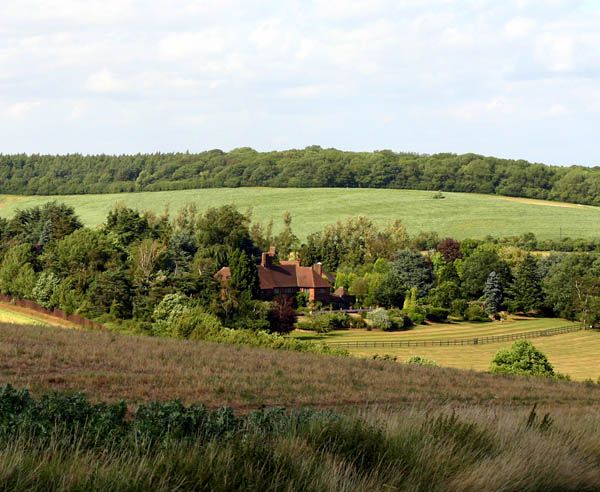 File:Offley Chase - geograph.org.uk - 198959.jpg