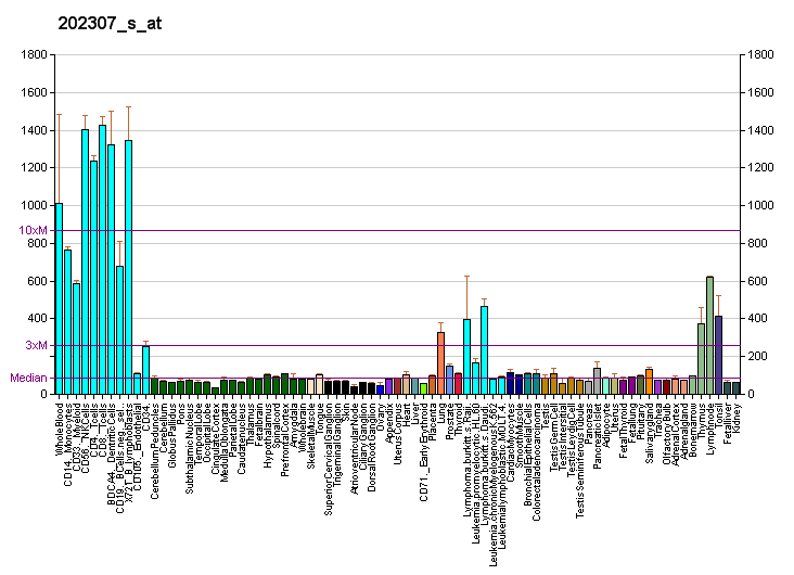 File:PBB GE TAP1 202307 s at fs.png