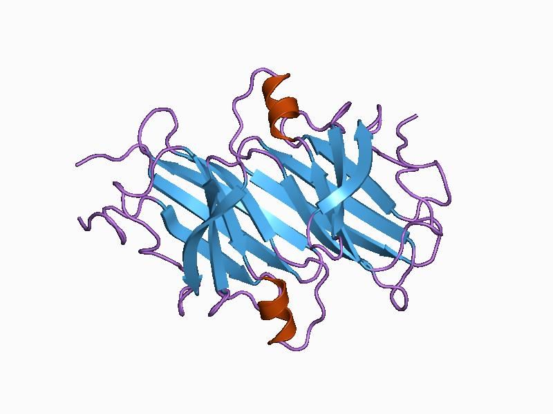 File:PDB 1bzd EBI.jpg