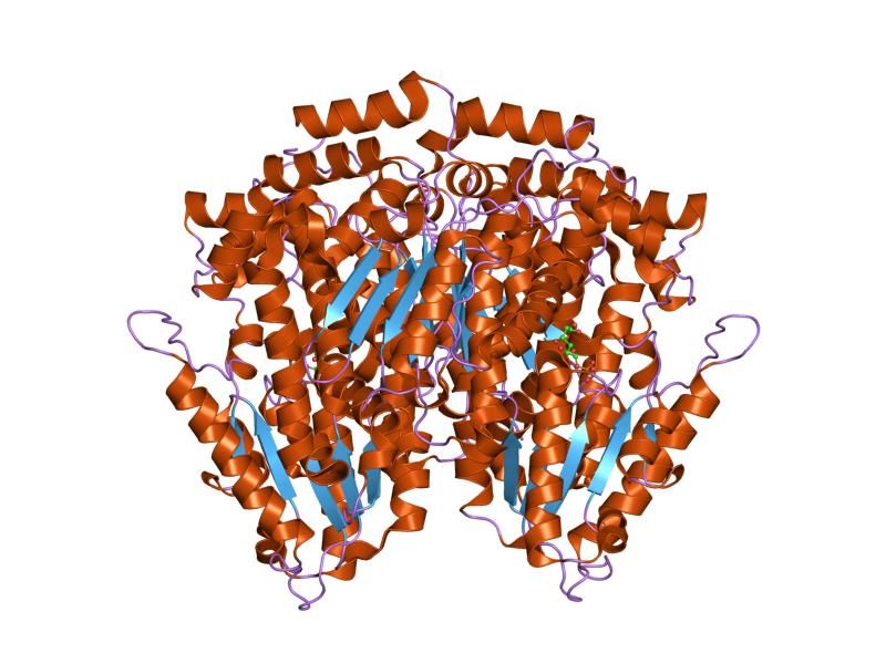 File:PDB 1dqr EBI.jpg