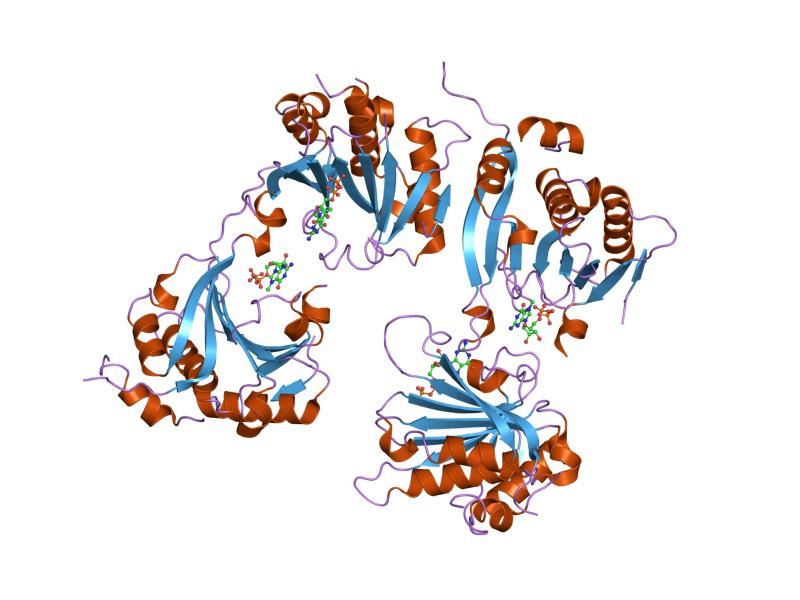 File:PDB 1ejh EBI.jpg