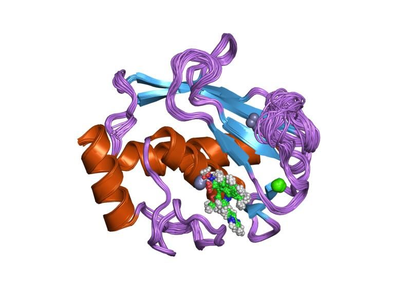 File:PDB 1fm1 EBI.jpg