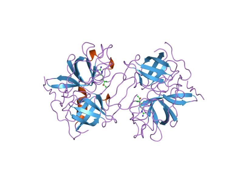 File:PDB 1lmw EBI.jpg