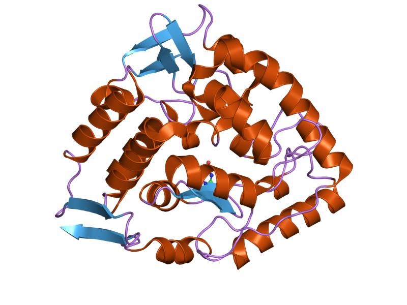 File:PDB 1lrm EBI.jpg