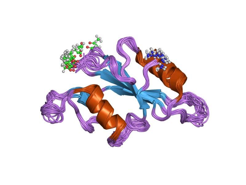 File:PDB 1lui EBI.jpg