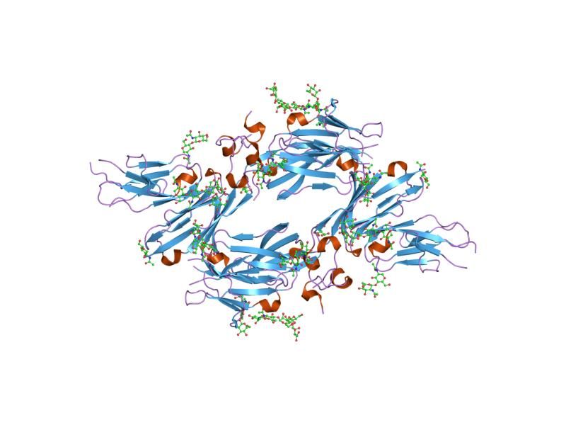 File:PDB 1rpq EBI.jpg