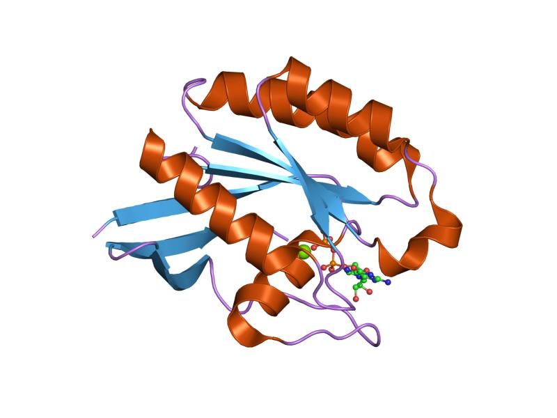 File:PDB 1z0i EBI.jpg